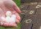 Featured image for The Guilt of Overlooking Damage: Responsible Homeownership and Exteriors