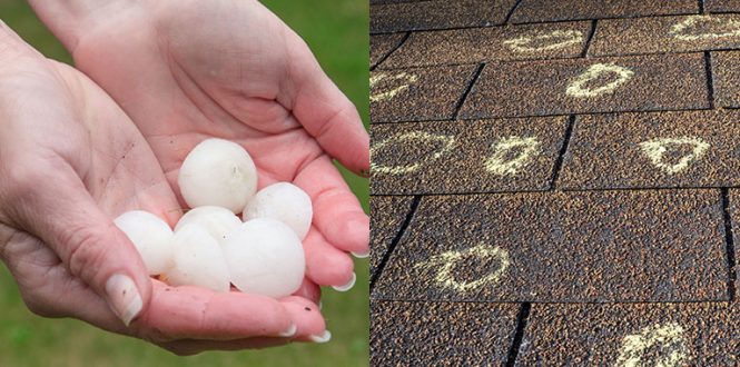 Featured image for The Guilt of Overlooking Damage: Responsible Homeownership and Exteriors