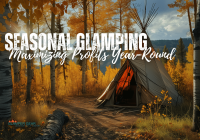 Featured image for Budget-Friendly Seasonal Upgrades: Maximizing Comfort and Savings Year-Round