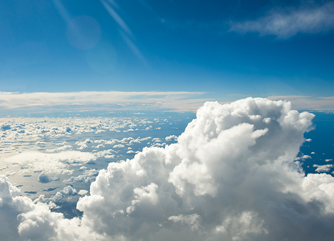 Featured image for Air Quality Concerns: Improving Indoor Environments with Natural Solutions