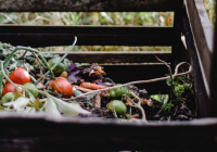 Featured image for Beyond the Bin: Composting and Reducing Repair-Related Waste