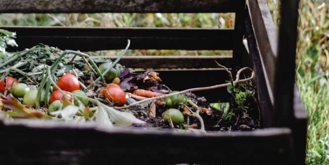 Featured image for Beyond the Bin: Composting and Reducing Repair-Related Waste