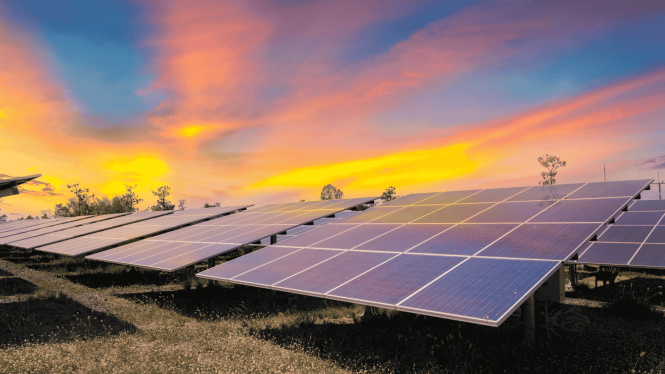 Featured image for Solar Scratches: Maintaining Renewable Energy Systems Sustainably