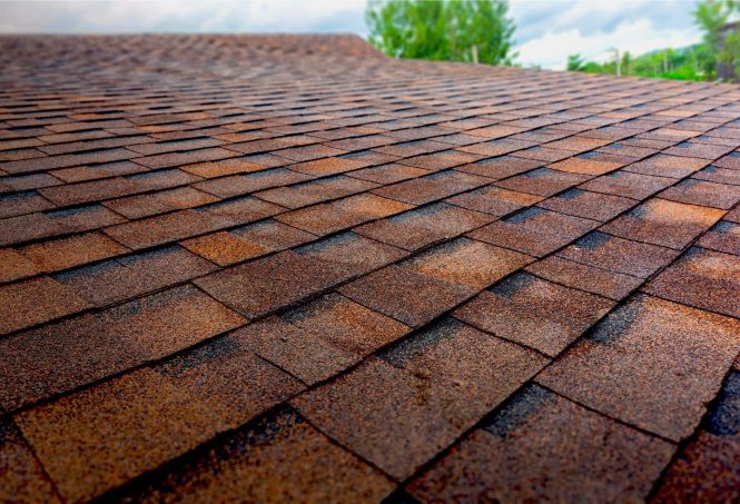 Featured image for Roof Leaks in a Storm: Emergency Fixes for Weather Woes