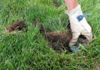 Featured image for Gutter Gulps: Clearing Clogs and Fixing Leaks for Proper Drainage