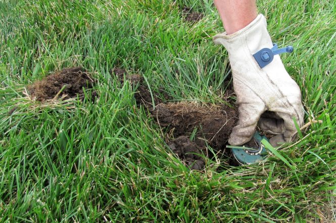 Featured image for Gutter Gulps: Clearing Clogs and Fixing Leaks for Proper Drainage