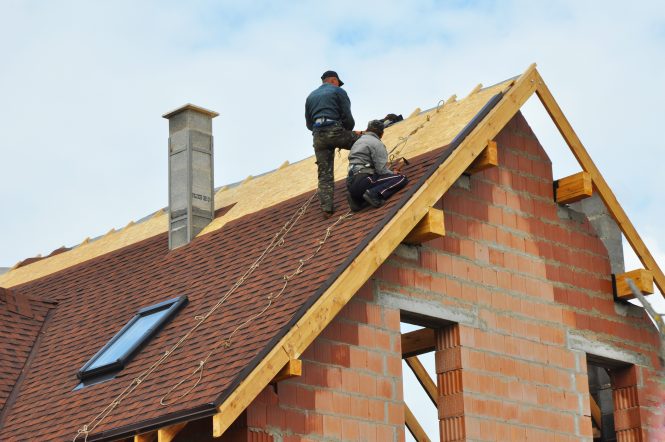 Featured image for Roofing Riddles: Addressing Shingle Damage and Preventing Leaks