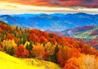 Featured image for Autumn Ailments: Prepping for Colder Months and Falling Leaves