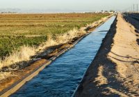 Featured image for Irrigation Issues: Maintaining Your Sprinkler System for Optimal Performance