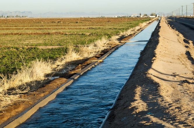 Featured image for Irrigation Issues: Maintaining Your Sprinkler System for Optimal Performance