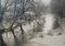 Featured image for Spring Cleaning Snafus: Addressing Issues Revealed by Thawing Weather